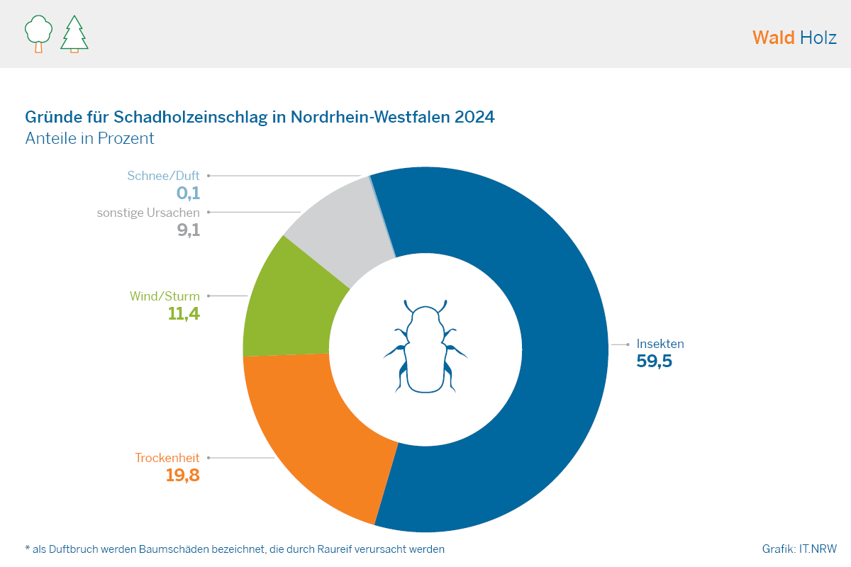 Kreisdiagramm zu Gründen von Schadholzeinschlag in NRW 2024