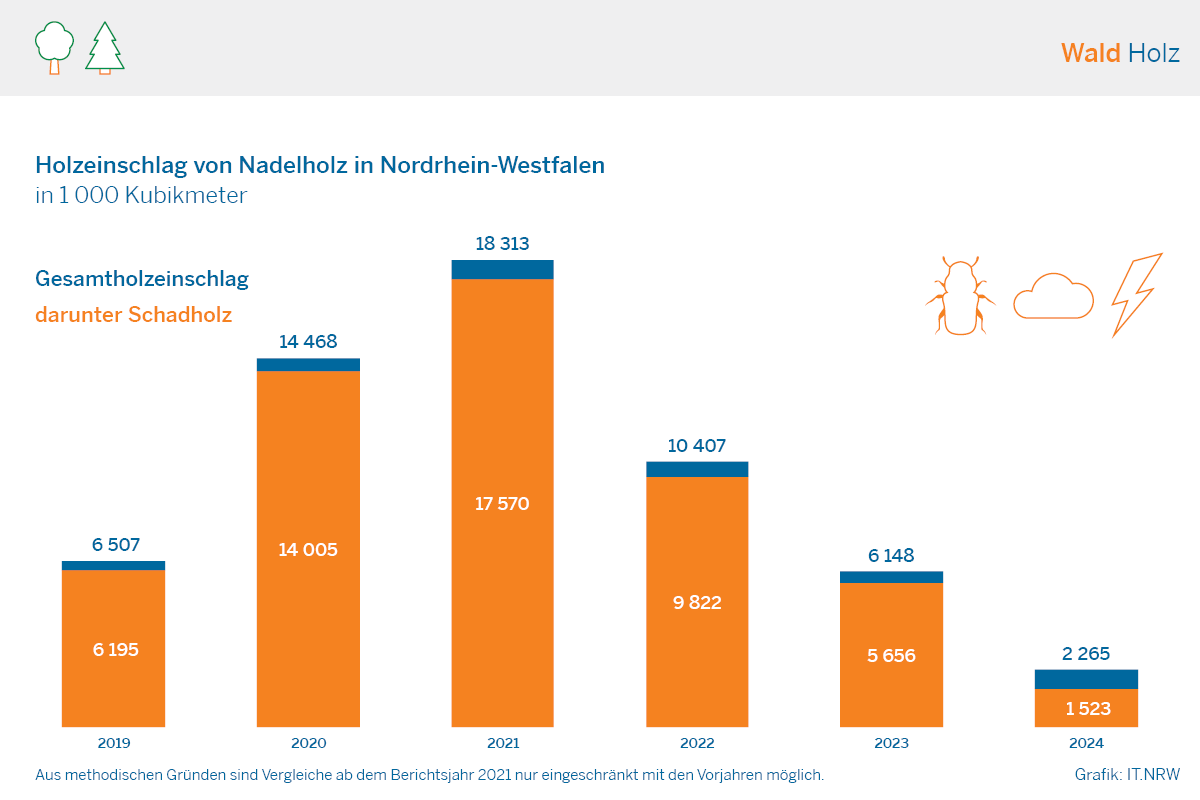 Säulendiagramm Holzeinschlag von Nadelholz in NRW 2019 bis 2024
