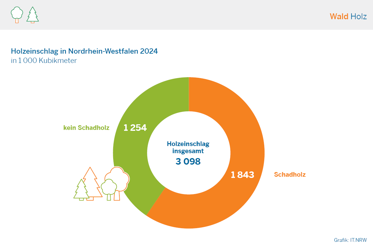 Kreisdiagramm Holzeinschlag in NRW 2024 nach Schadholz