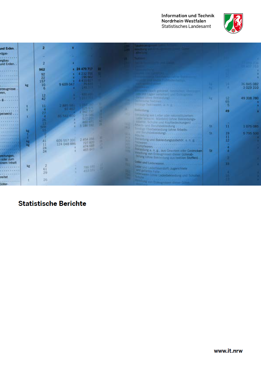 Vorschaubild Heft Statistischer Bericht