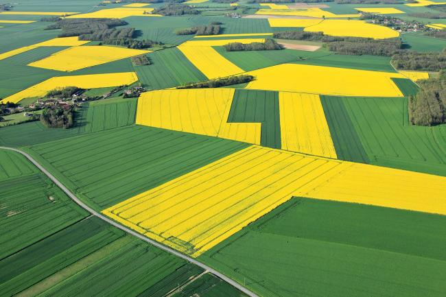 Luftaufnahme verschiedener landwirtschaftlich genutzter Felder