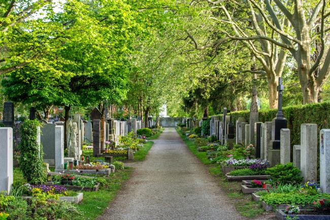 Friedhof im Frühling